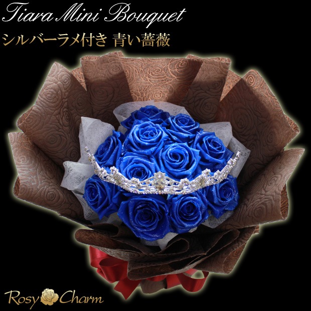 ƥ ߥ˥֡åץꥶ֥ɥե Хβ« 12ܡ11 Τޤ޾륹ǥ󥰥֡