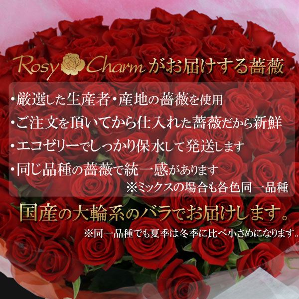 �������£��Х�β�« �å�å������ܡ��ɡ��֡����å�å������դ��ԥ󥯤��鯡�10��