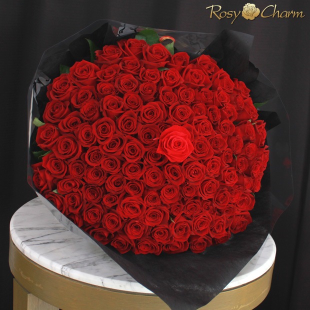 �ץ��ݡ�����£��Х�β�«108�� �ڥ�å������ץꥶ���������֡����� 100�ܡ��ܿ������ǽ