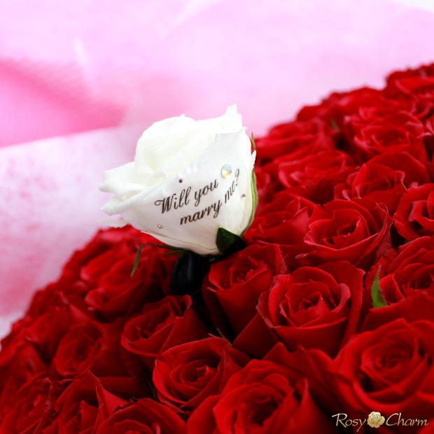 �ץ��ݡ�����£��Х�β�«108�� �ڥ�å������ץꥶ���������֡����� 100�ܡ��ܿ������ǽ