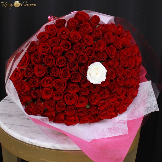 �ץ��ݡ�����£��Х�β�«108�� �ڥ�å������ץꥶ���������֡����� 100�ܡ��ܿ������ǽ