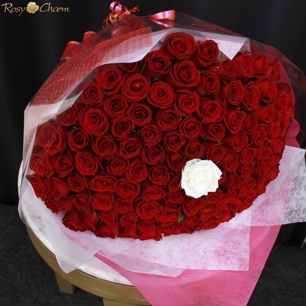 �ץ��ݡ�����£��Х�β�«108�� �ڥ�å������ץꥶ���������֡����� 100�ܡ��ܿ������ǽ