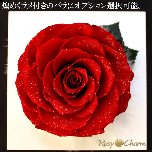  Ĥ鯡åեȥե졼 ХΥץꥶ֥ɥեڼ̿Ωơۡå֥롼ءץ쥼ȡǰǯˤ£ʪ