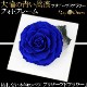  Ĥ鯡åեȥե졼 ХΥץꥶ֥ɥեڼ̿Ωơۡå֥롼ءץ쥼ȡǰǯˤ£ʪ