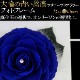  Ĥ鯡åեȥե졼 ХΥץꥶ֥ɥեڼ̿Ωơۡå֥롼ءץ쥼ȡǰǯˤ£ʪ