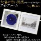  Ĥ鯡åեȥե졼 ХΥץꥶ֥ɥեڼ̿Ωơۡå֥롼ءץ쥼ȡǰǯˤ£ʪ