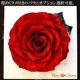  Ĥ鯡åեȥե졼 ХΥץꥶ֥ɥեڼ̿Ωơۡå֥롼ءץ쥼ȡǰǯˤ£ʪ
