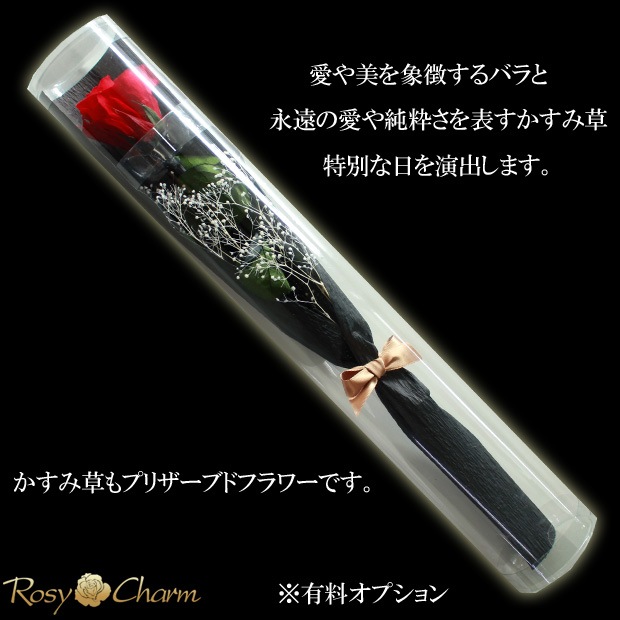 ץꥶ֥ɥե Хܡåꥢءۡååեбå奢£ؤ