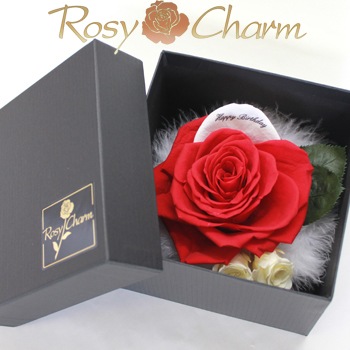 BOX���������֤��Х���ۥ磻�ȥڥ��롡��å������ե����ե�