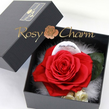 BOX���������֤��Х���ۥ磻�ȥڥ��롡��å������ե����ե�