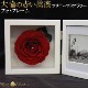 եȥե졼ؤ֤鯡ڼ̿Ωơ۰ؤΥХ ץꥶ֥ɥեץ쥼ȡǰǯˤ£ʪ