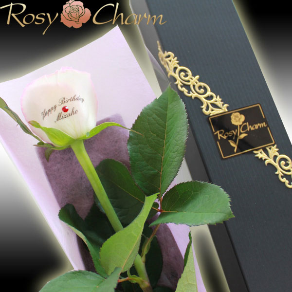 1�ؤΥХ顡��å��������������ۥ磻�ȥԥ󥯡����֡�