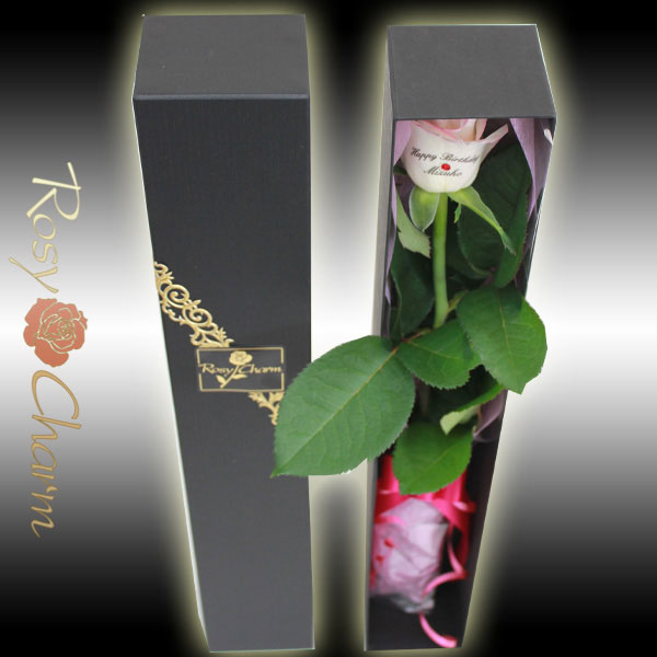 1�ؤΥХ顡��å��������������ۥ磻�ȥԥ󥯡����֡�