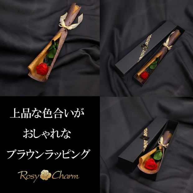 �ץꥶ���֥ɥե������ؤΥХ������������ǰ�����ץ��ݡ�����£��Х�����ءۡ��鯰���