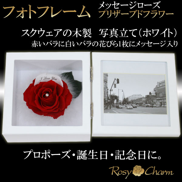 �ե��ȥե졼�ࡡ�ץꥶ���֥ɥե�����å������������ʥۥ磻�ȡ�