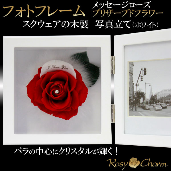 �ե��ȥե졼�ࡡ�ץꥶ���֥ɥե�����å������������ʥۥ磻�ȡ�