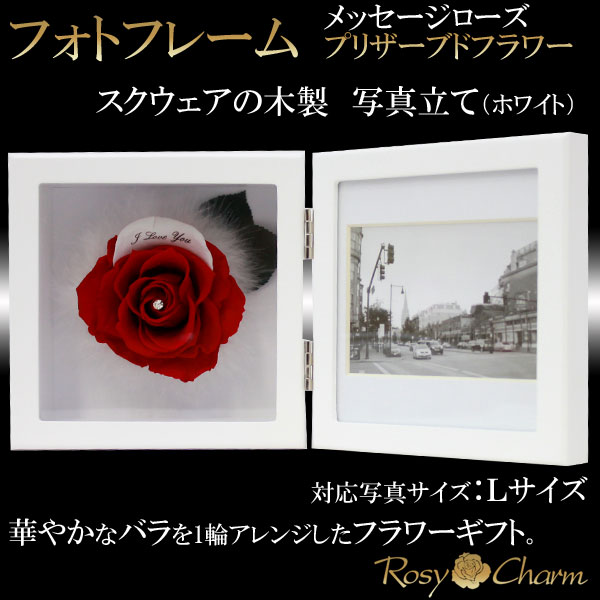 �ե��ȥե졼�ࡡ�ץꥶ���֥ɥե�����å������������ʥۥ磻�ȡ�