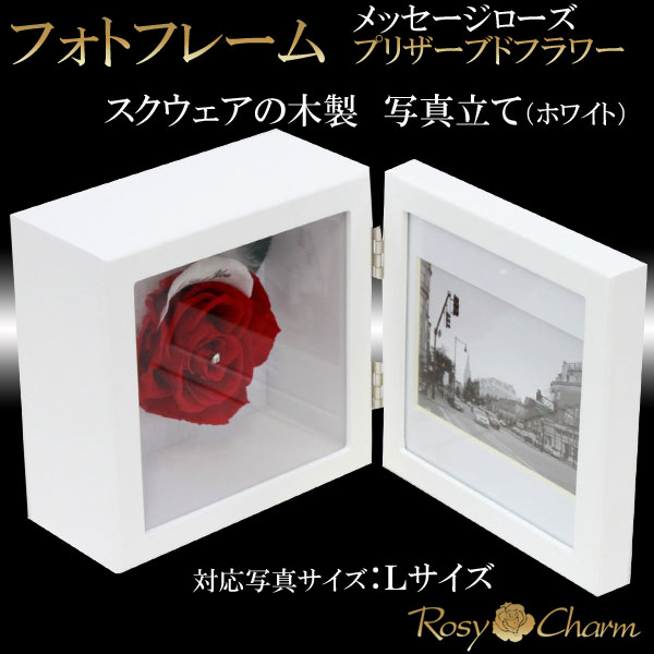 �ե��ȥե졼�ࡡ�ץꥶ���֥ɥե�����å������������ʥۥ磻�ȡ�