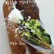  «åХΥץꥶ֥ɥեءۡåեȥܥåøϤʤ ץ쥼ȡʥåեб