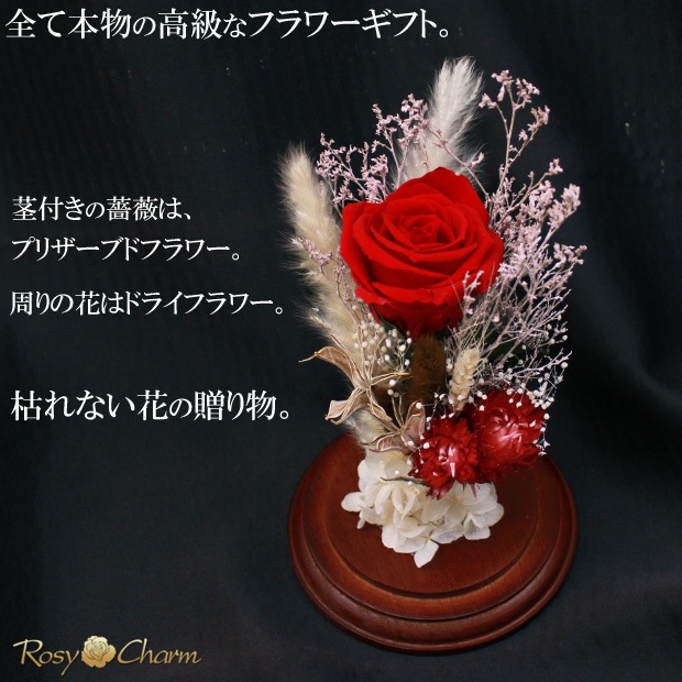 ���饹�ɡ��� �ɥ饤�ե� ���ؤΥХ� �ץꥶ���֥ɥե����������ץ쥼��ȡ��뺧��ǰ�����ץ��ݡ�����£���鯡�