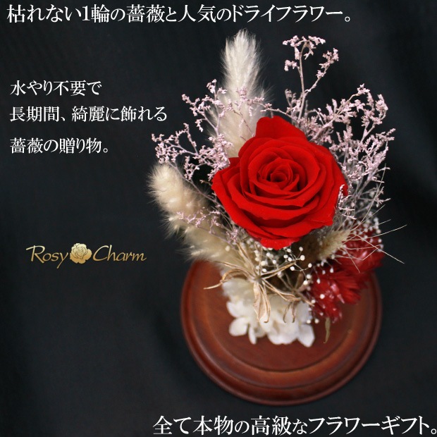 ���饹�ɡ��� �ɥ饤�ե� ���ؤΥХ� �ץꥶ���֥ɥե����������ץ쥼��ȡ��뺧��ǰ�����ץ��ݡ�����£���鯡�