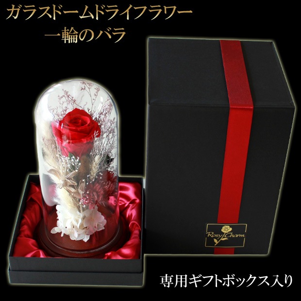 ���饹�ɡ��� �ɥ饤�ե� ���ؤΥХ� �ץꥶ���֥ɥե����������ץ쥼��ȡ��뺧��ǰ�����ץ��ݡ�����£���鯡�