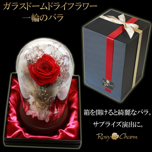 ���饹�ɡ��� �ɥ饤�ե� ���ؤΥХ� �ץꥶ���֥ɥե����������ץ쥼��ȡ��뺧��ǰ�����ץ��ݡ�����£���鯡�