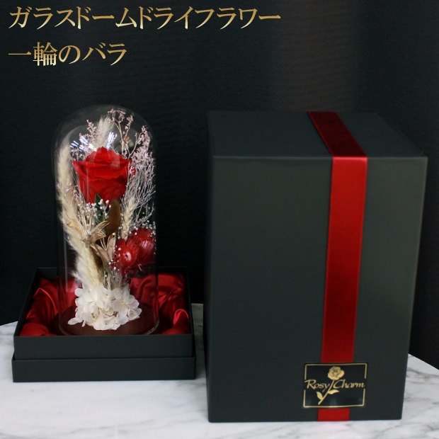 ���饹�ɡ��� �ɥ饤�ե� ���ؤΥХ� �ץꥶ���֥ɥե����������ץ쥼��ȡ��뺧��ǰ�����ץ��ݡ�����£���鯡�