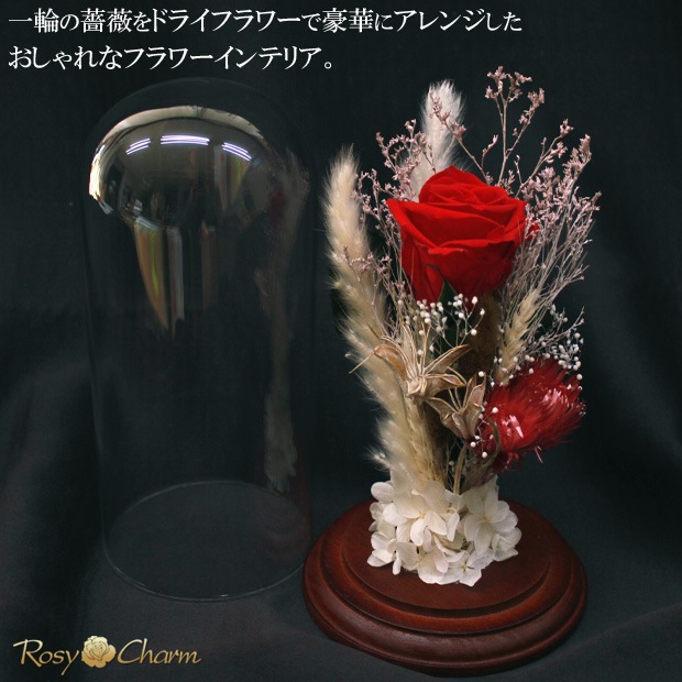 ���饹�ɡ��� �ɥ饤�ե� ���ؤΥХ� �ץꥶ���֥ɥե����������ץ쥼��ȡ��뺧��ǰ�����ץ��ݡ�����£���鯡�