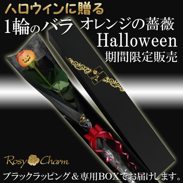 �ϥ��������£�륪��󥸤ΥХ�1�ܡ����֡�