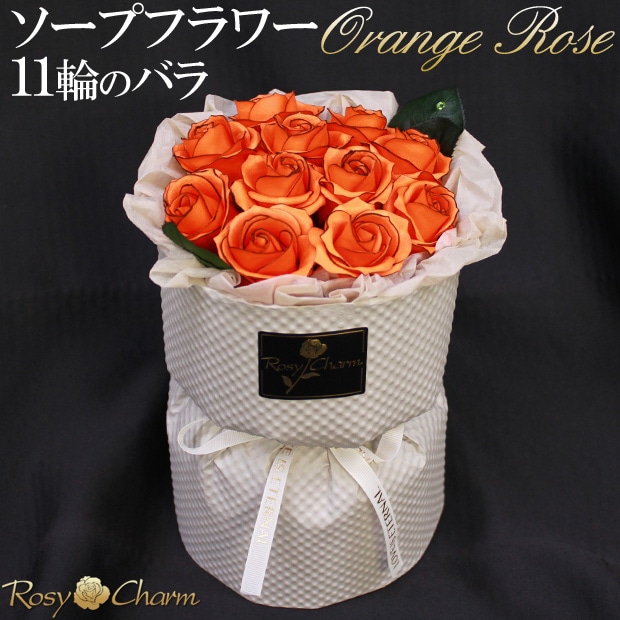 ץե « 11ؤΥХ ڥ󥸤ΥХۤΤޤ޾륹ǥ󥰥֡