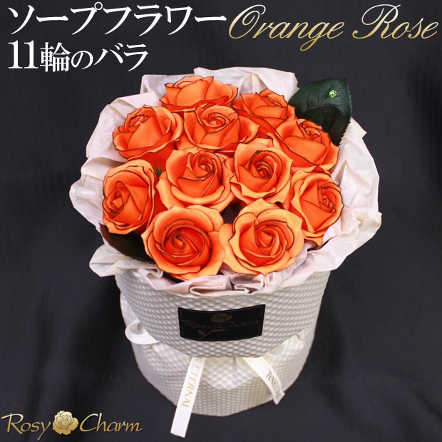 ץե « 11ؤΥХ ڥ󥸤ΥХۤΤޤ޾륹ǥ󥰥֡