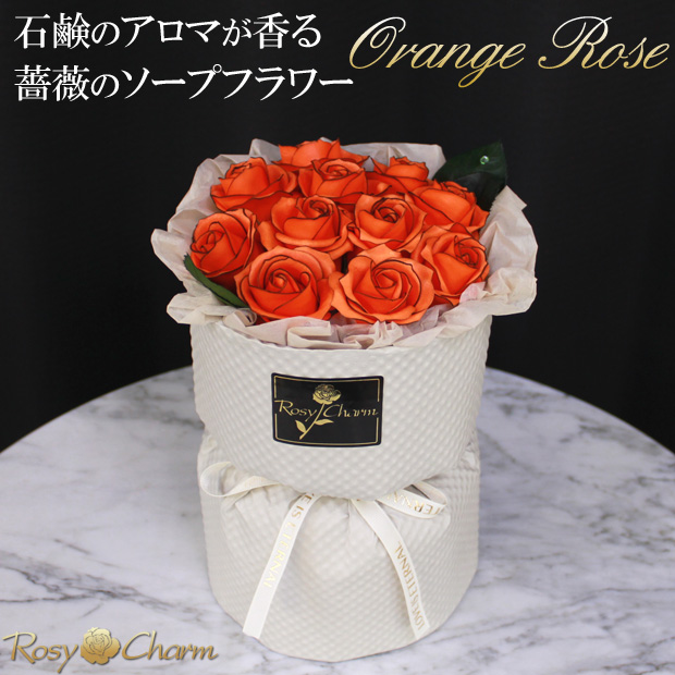 ץե « 11ؤΥХ ڥ󥸤ΥХۤΤޤ޾륹ǥ󥰥֡