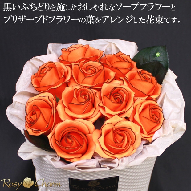 ץե « 11ؤΥХ ڥ󥸤ΥХۤΤޤ޾륹ǥ󥰥֡