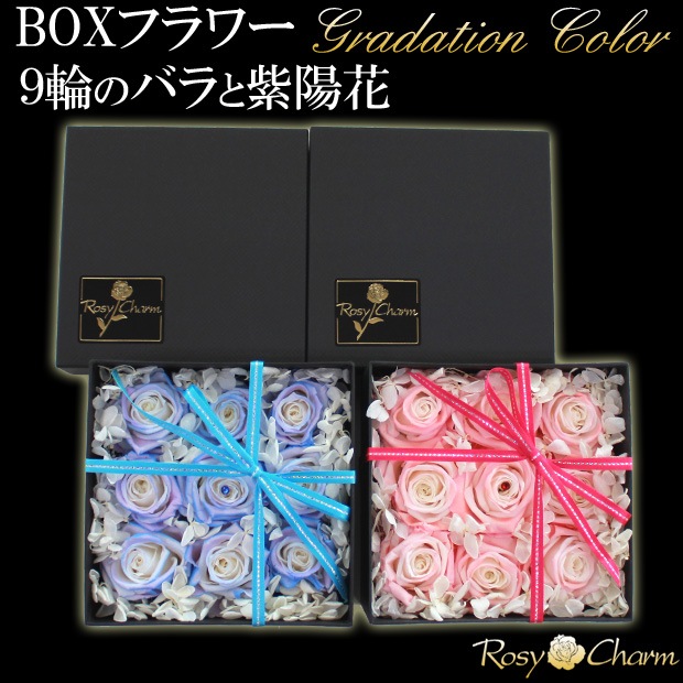 �ե��ܥå�����9�ؤ��鯤Ȼ��۲֡åץꥶ���֥ɥե��ڥ���ǡ�����󥫥顼�ΥХ��