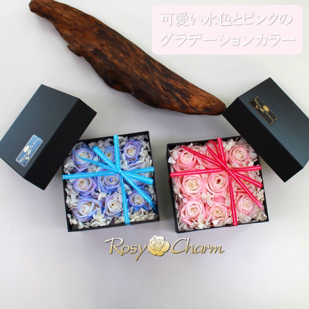 �ե��ܥå�����9�ؤ��鯤Ȼ��۲֡åץꥶ���֥ɥե��ڥ���ǡ�����󥫥顼�ΥХ��