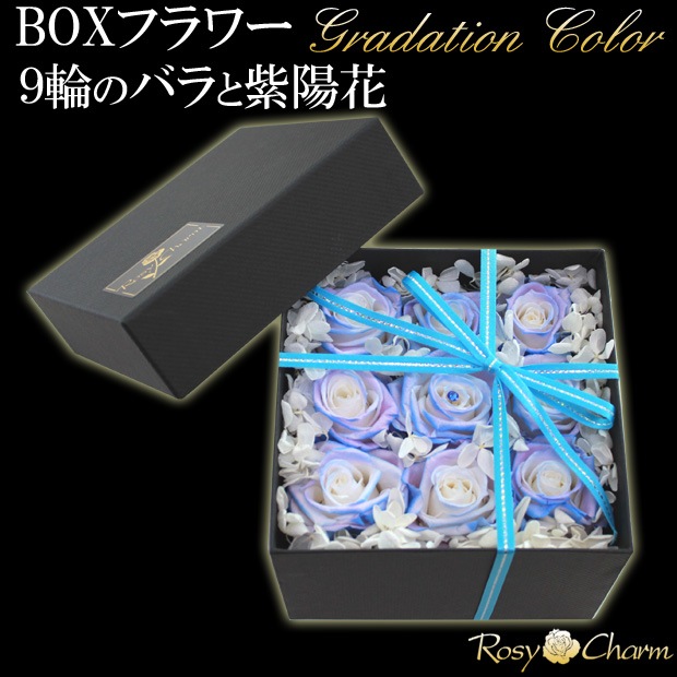 �ե��ܥå�����9�ؤ��鯤Ȼ��۲֡åץꥶ���֥ɥե��ڥ���ǡ�����󥫥顼�ΥХ��