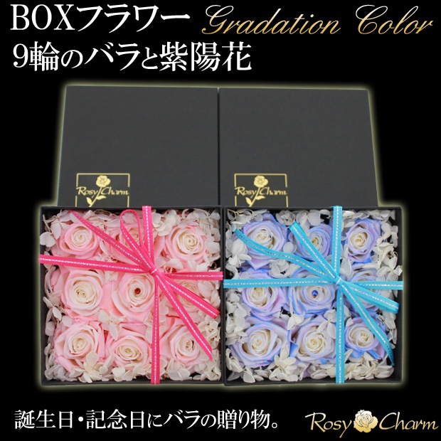 �ե��ܥå�����9�ؤ��鯤Ȼ��۲֡åץꥶ���֥ɥե��ڥ���ǡ�����󥫥顼�ΥХ��