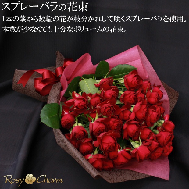 ץ졼Хβ«ôʼ ֤Хץ쥼ȡ뺧ǰץݡˤ£