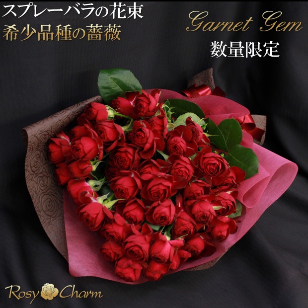 ץ졼Хβ«ôʼ ֤Хץ쥼ȡ뺧ǰץݡˤ£