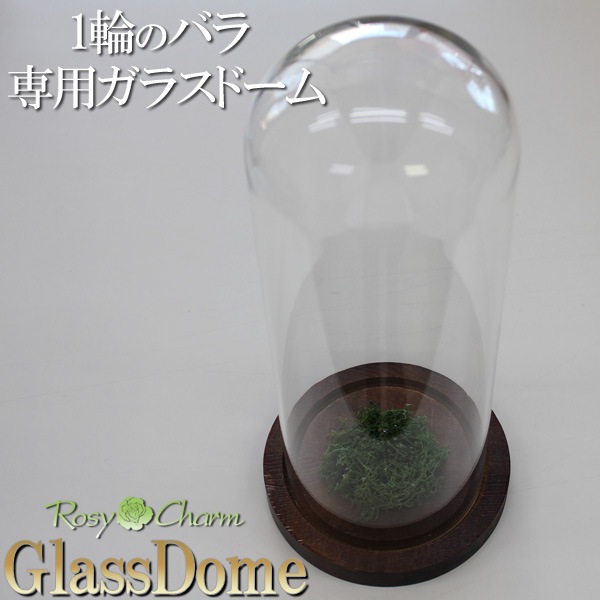 ڥ饹ɡۥǥץ쥤ѡʥץꥶ֥ɥեƥѡ