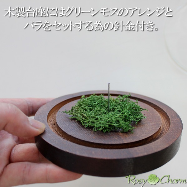 ڥ饹ɡۥǥץ쥤ѡʥץꥶ֥ɥեƥѡ