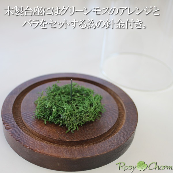 ڥ饹ɡۥǥץ쥤ѡʥץꥶ֥ɥեƥѡ