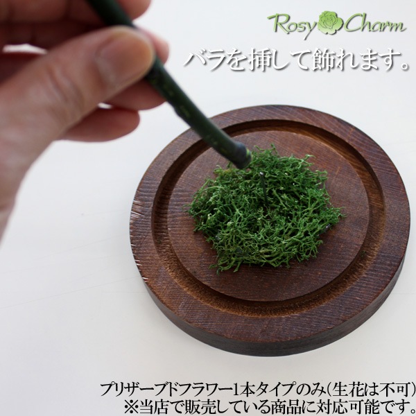 ڥ饹ɡۥǥץ쥤ѡʥץꥶ֥ɥեƥѡ