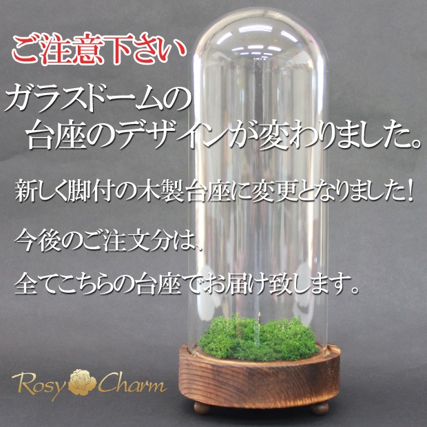 ڥ饹ɡۥǥץ쥤ѡʥץꥶ֥ɥեƥѡ