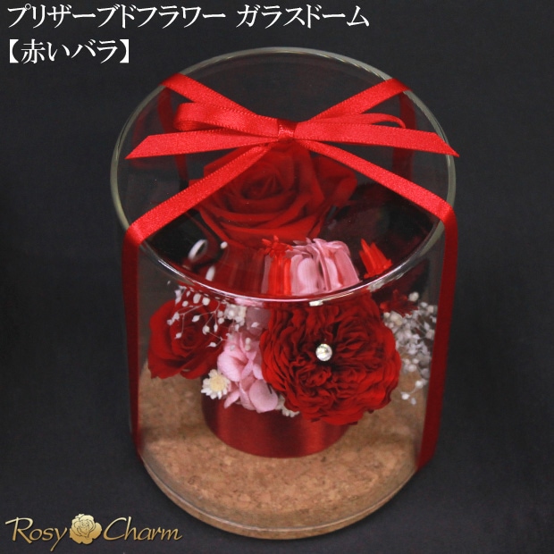 ץꥶ֥ɥե 饹ɡ֤Х3ؤΥХץ쥼ȡ뺧ǰˤ£