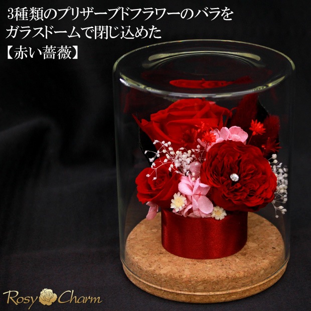 ץꥶ֥ɥե 饹ɡ֤Х3ؤΥХץ쥼ȡ뺧ǰˤ£