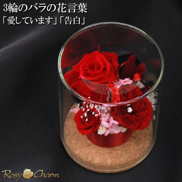 ץꥶ֥ɥե 饹ɡ֤Х3ؤΥХץ쥼ȡ뺧ǰˤ£