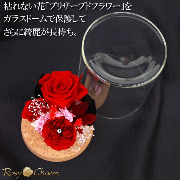 ץꥶ֥ɥե 饹ɡ֤Х3ؤΥХץ쥼ȡ뺧ǰˤ£