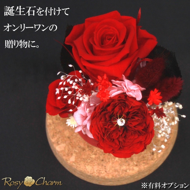 ץꥶ֥ɥե 饹ɡ֤Х3ؤΥХץ쥼ȡ뺧ǰˤ£